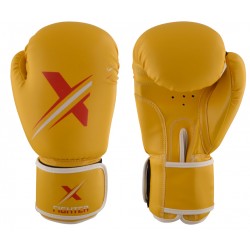 pokal boxing gloves