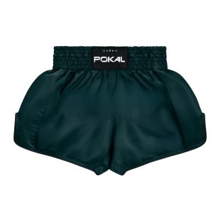 PB-0101
